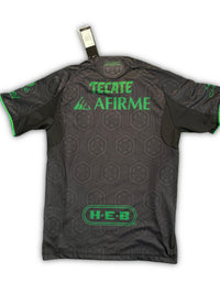 Tigres Alternativa 25-26