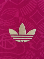 Bayern Munich Aniversario 125 Kids Express