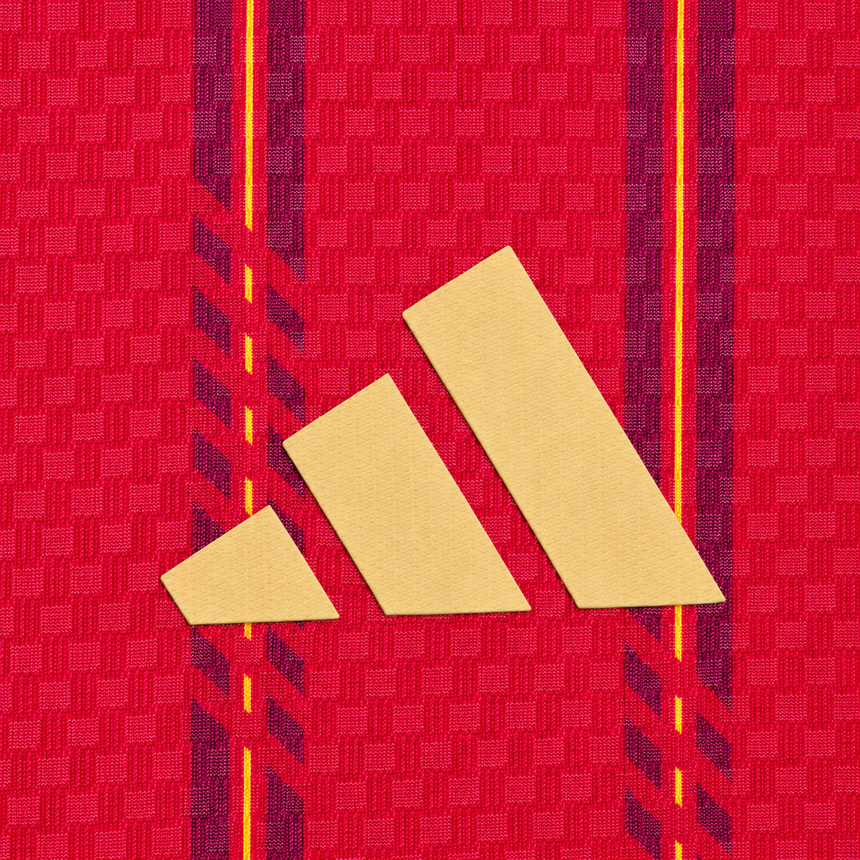 Selección España 25-26