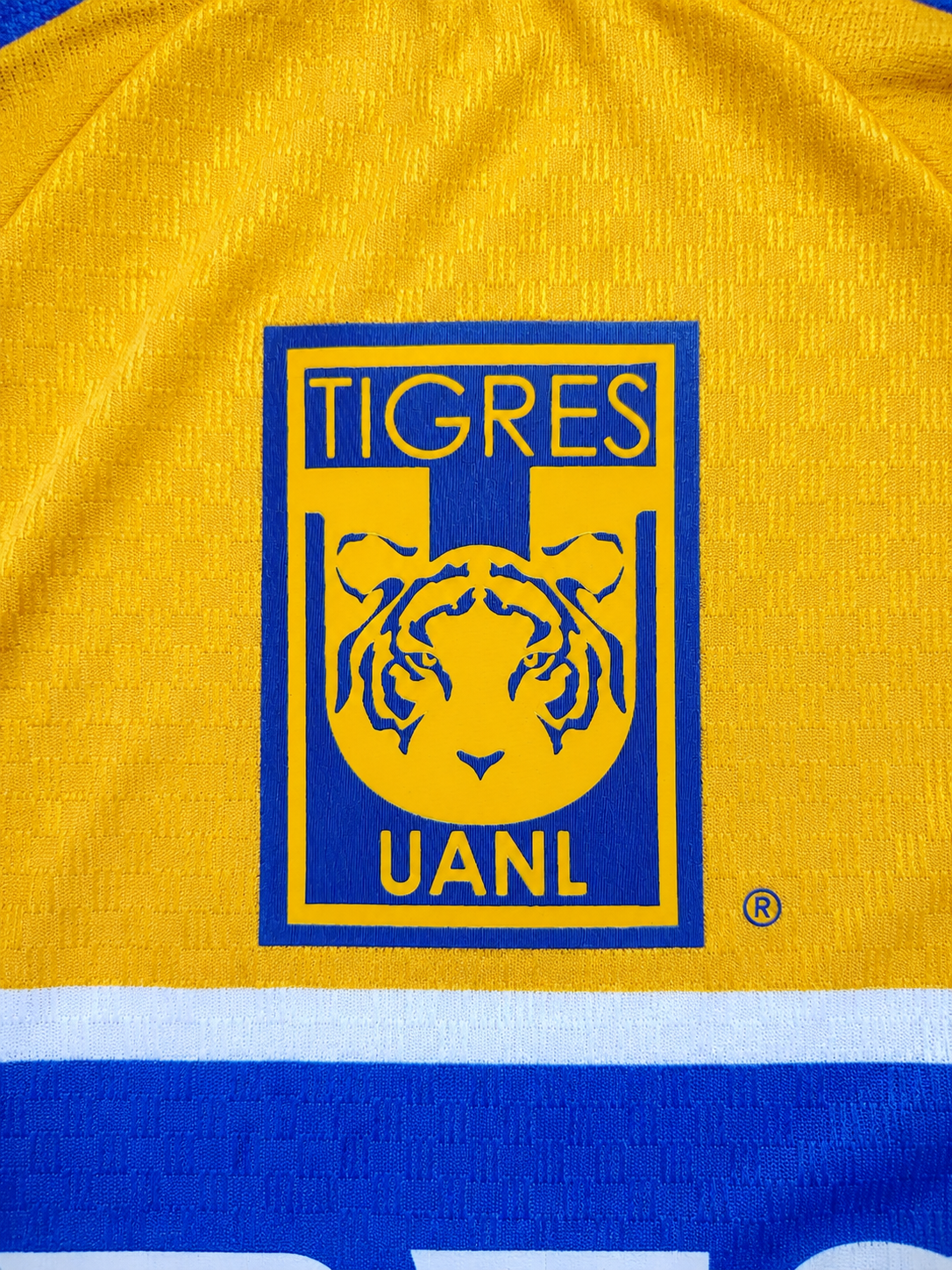 Tigres Local 26-27