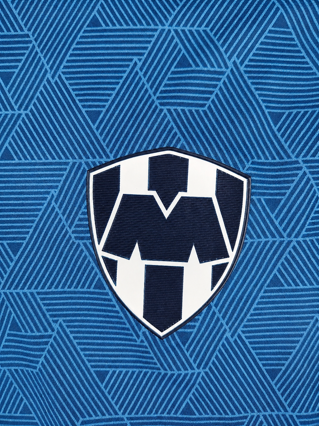 Sudadera Rayados Entrenamiento
