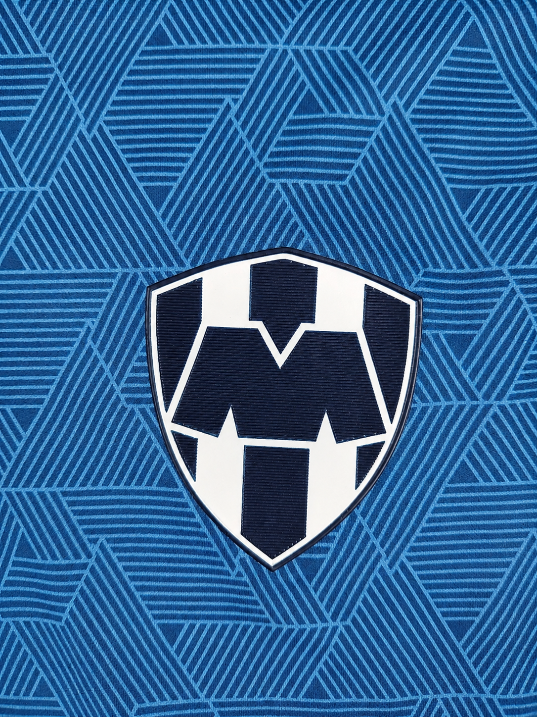 Sudadera Rayados Entrenamiento