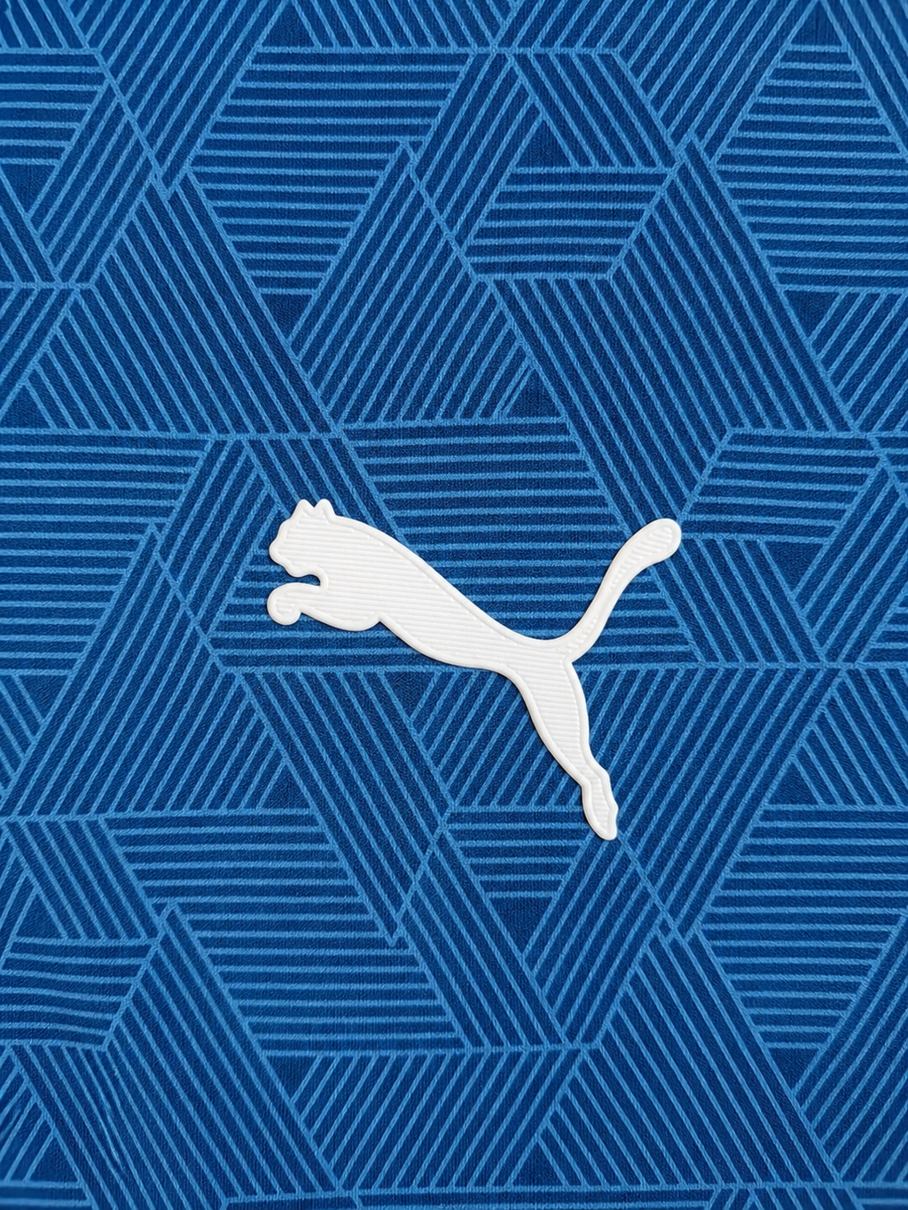 Sudadera Rayados Entrenamiento