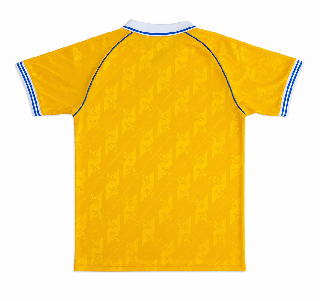 Tigres Aniversario 25-26