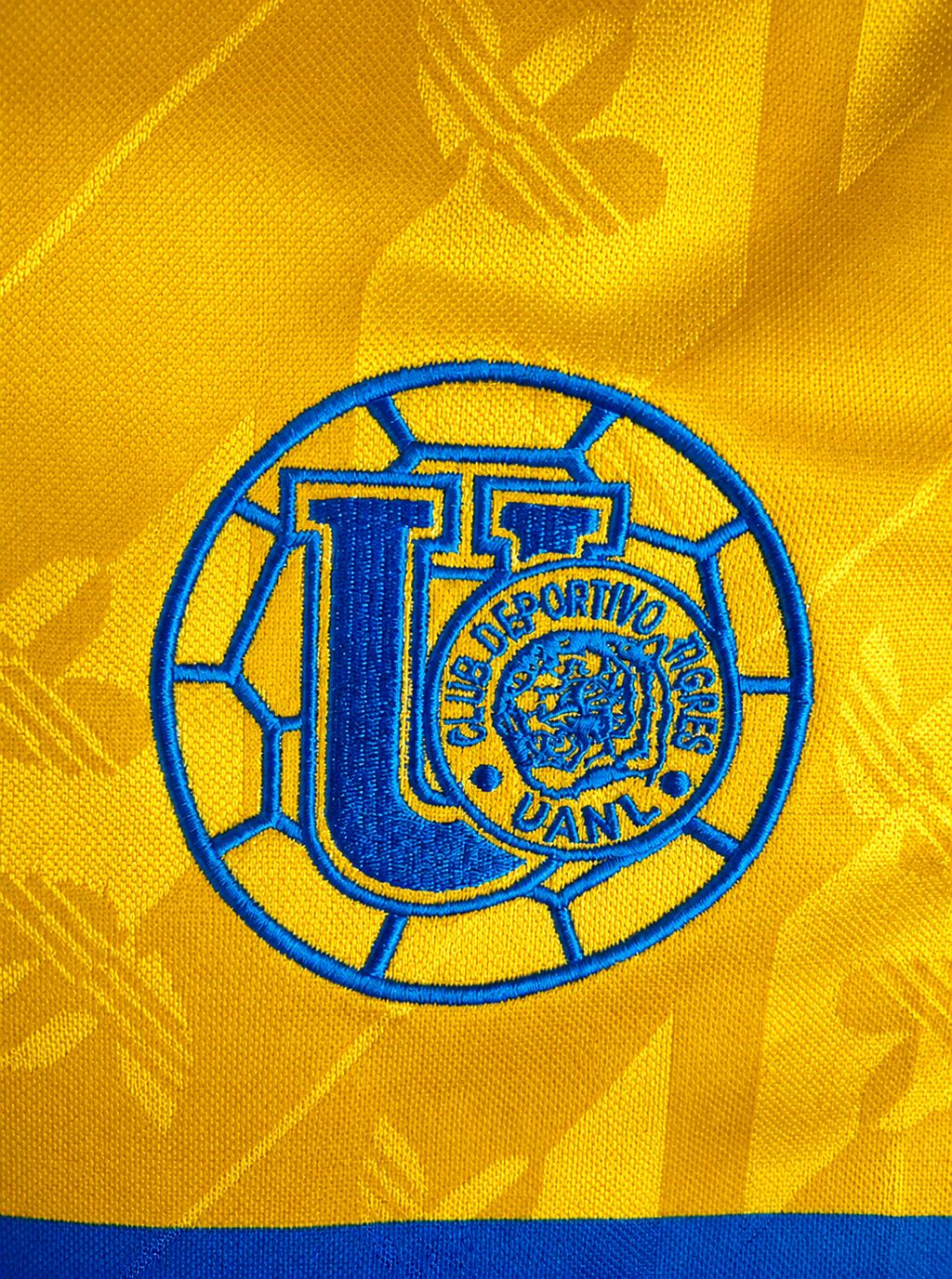Tigres Aniversario 25-26