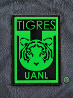 Tigres Alternativa Dama 25-26