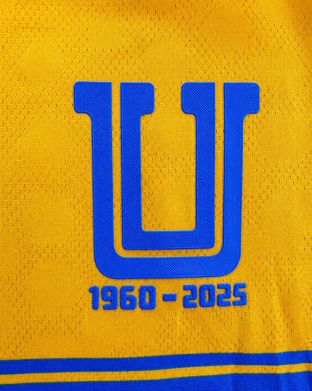 Tigres Local 25-26