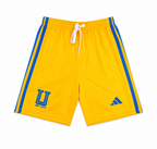 Tigres Local Kids 25-26 Express
