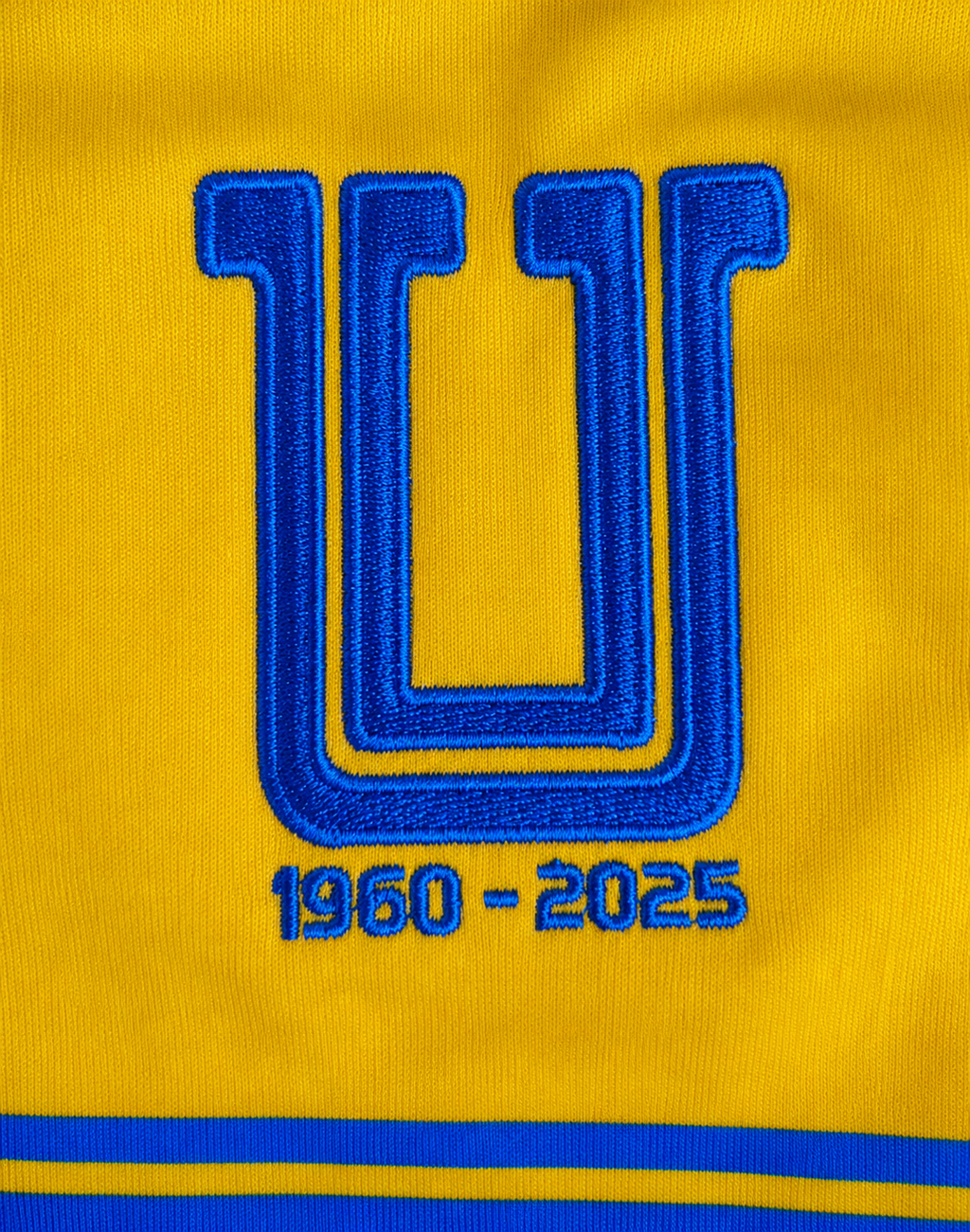 Tigres Local Kids 25-26 Express