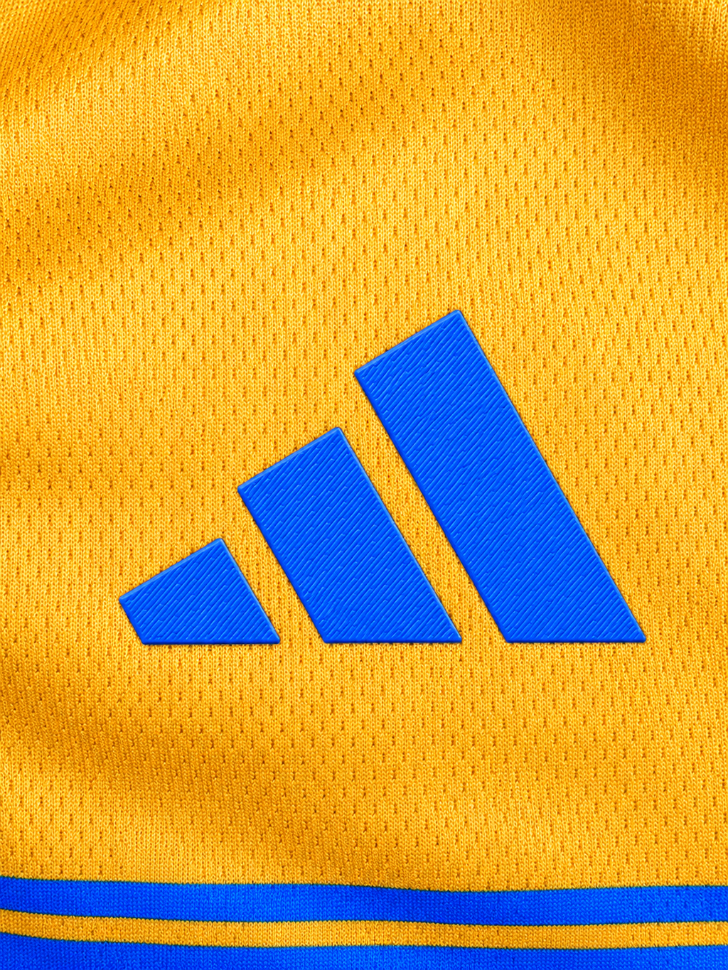 Tigres Retro 1960-2025 Express