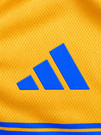 Tigres Retro 1960-2025 Express