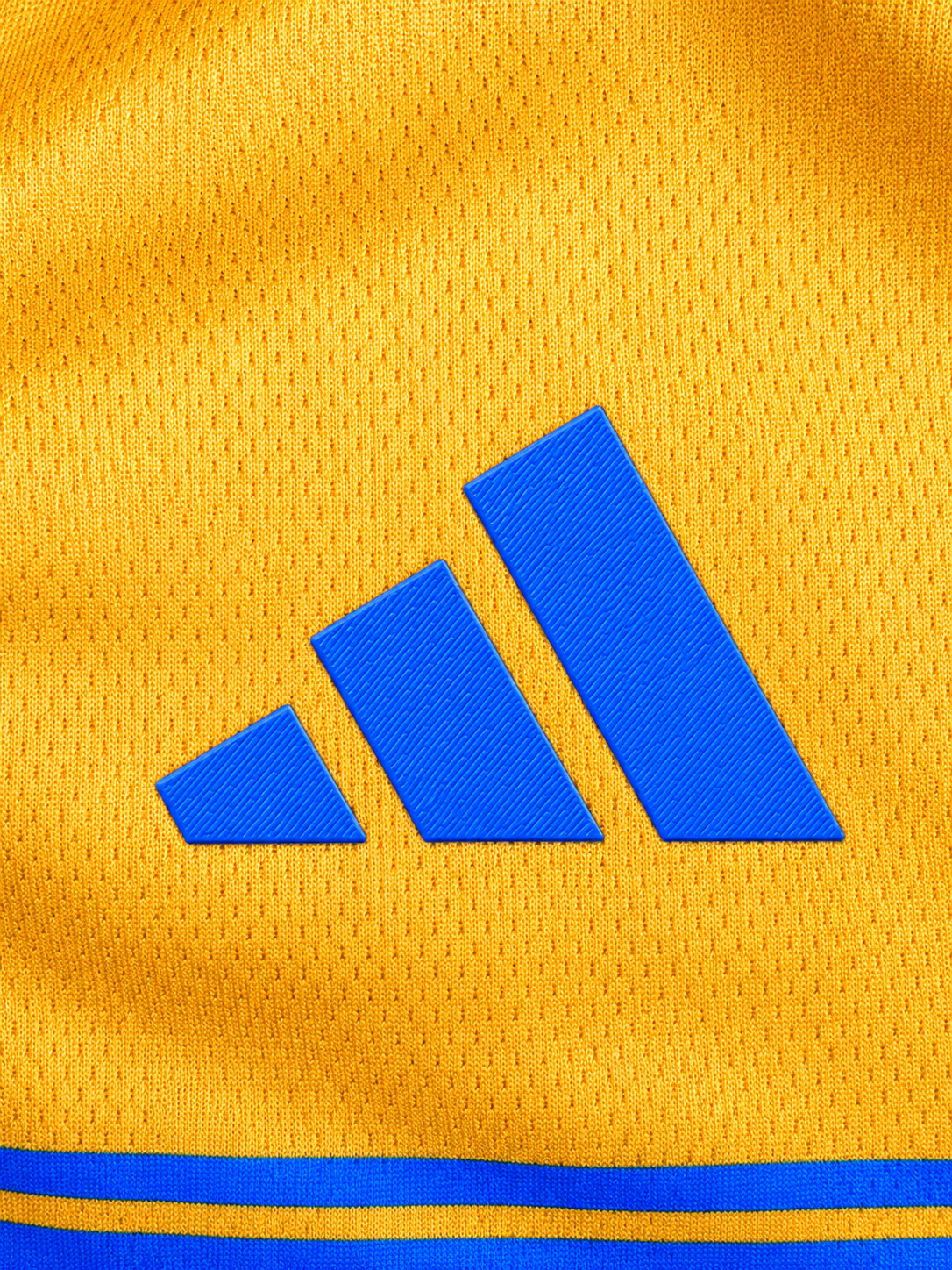 Tigres Retro 1960-2025